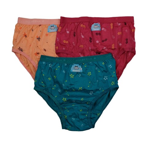 Buy In Beauty Ladies Undergarments Bra and Panties Set Pack of 3 Multicolor  Online at desertcartNorway