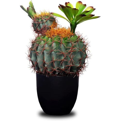 Home decor objects, a miniature cactus plant. small plant with fairy lights  for home interior decoration. | CanStock