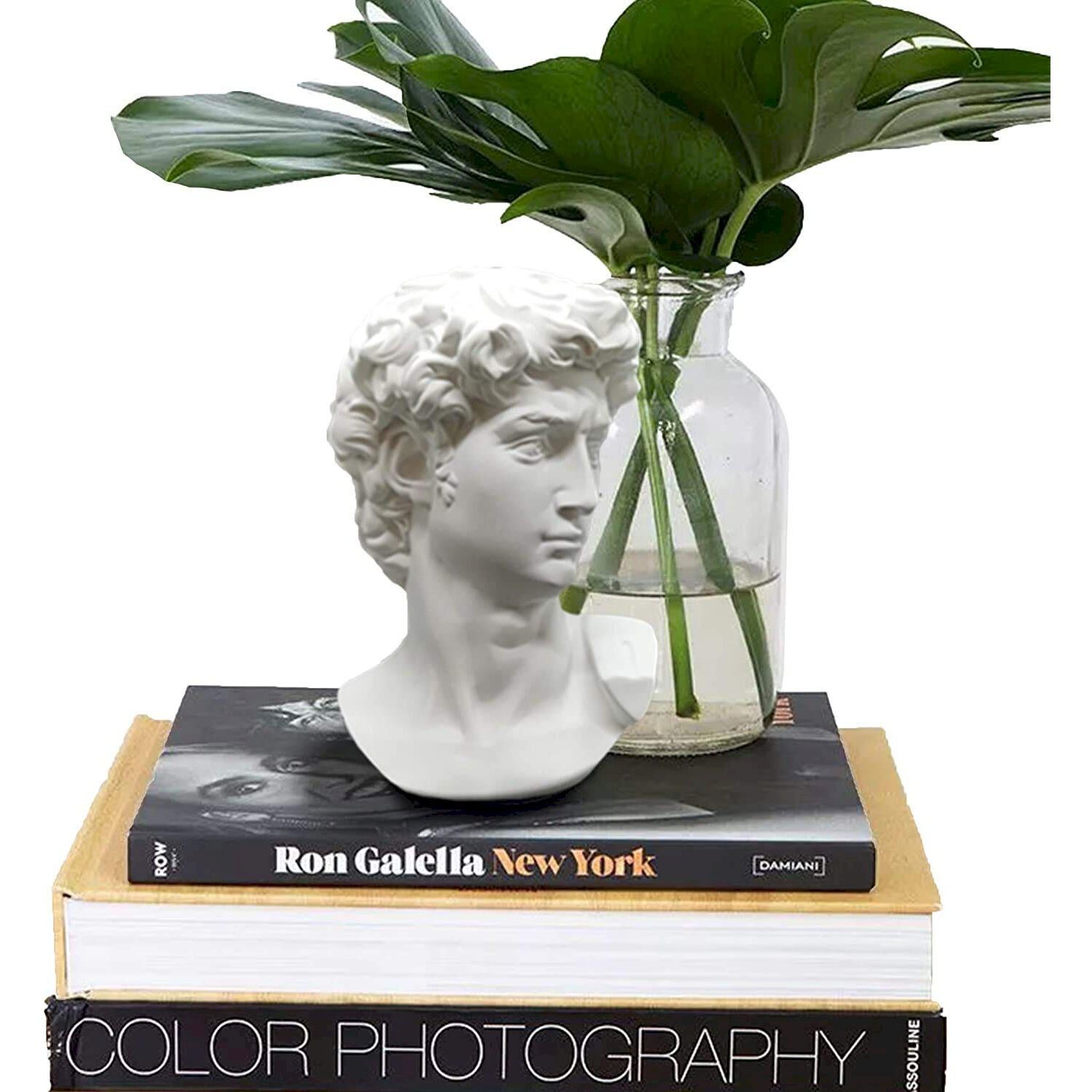 SCMAIGU 6”Elegant Female Lute Statue, Head Bust Greek Statue for Home  Décor: Buy Online at Best Price in UAE 