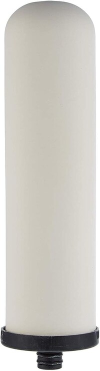 Picture of Doulton Ceramic Water Filter
