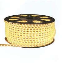 Picture of max Strip LED Light 50M