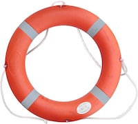 Picture of Life Buoy Ring - Orange