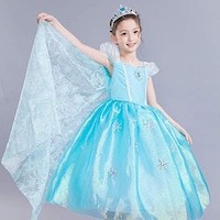 Picture of Princess Elsa Dress Costume In Blue
