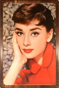 Picture of Beautiful Woman With Black Hair And Red Dress Metal Plate Tin Sign