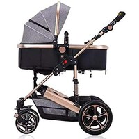 Picture of Inflatable Wheels Stroller V16S