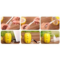 Picture of Portable Mini Usb Lemon Humidifier Air Diffuser