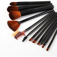 Picture of Shiratori Makeup Brush Set With Holder 12Pcs Makeup Brushes Premium