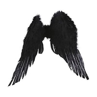 Picture of Angel Feather Wings Party Costume for Adults, Black