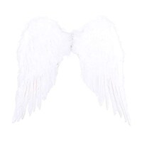 Picture of Halloween Angel Wings For Children, White
