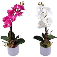 Picture of Yatai Artificial Orchid Flowers with Pot, 2 Pieces, White & Pink