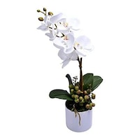 Picture of Yatai Artificial Orchid Flowers with Moss Grass Arrangement, White