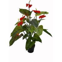 Picture of Artificial Anthurium Plant, Green & Red, 1 m