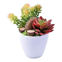 Picture of Artificial Mini Potted Succulents Plant with Wood Slices