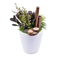 Picture of Artificial Mini Potted Succulents Plant with Moss Grass and Wood