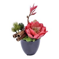 Picture of Artificial Mini Potted Succulents Plant with Moss Grass, Multi Colour
