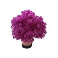 Picture of Adult Afro Wig