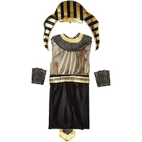 Picture of Men Costume Free Size Gold, BM0028