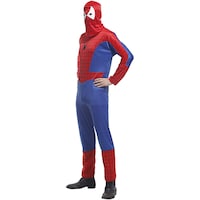 Picture of Men's Spiderman Costume, BM0043