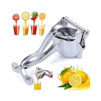 Picture of 2020 Newly Manual Fruit Juicer