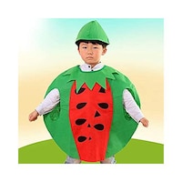 Picture of Kids Fruits Watermelon Costume Suits Outfits