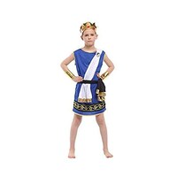 Picture of The 5-Piece Boys Royal Warrior Cosplay Costume