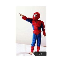 Picture of The Kids Superhero Costumes Spiderman