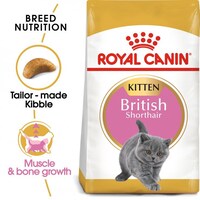 Picture of British Shorthair Kitten Nutrition Food, 2kg