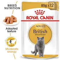 Picture of Nutrition British Shorthair Adult Food, 85gm, Pack of 12