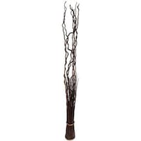 Picture of Yatai Dried Curly Twig Willow Floor Standing Vase