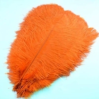 Picture of Zen Ostrich Feather 50 - 55 cm, Orange - Set Of 5