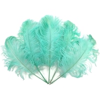 Picture of Zen Ostrich Feather 50 - 55 cm, Sea Green - Set Of 5