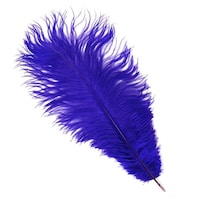 Picture of Zen Ostrich Feather 50 - 55 cm, Dark Purple - Set Of 5