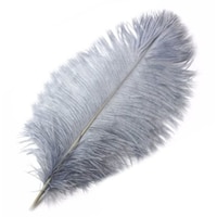 Picture of Zen Ostrich Feather 50 - 55 cm, Grey - Set Of 5