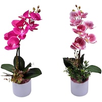 Picture of Yatai Artificial Orchid Flowers with Pot, 2 Pieces, Pink & Dark Pink