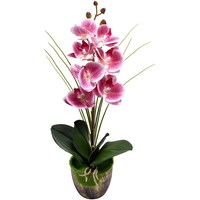 Picture of Yatai Real Touch Artificial Potted Orchid Flower, Purple & White