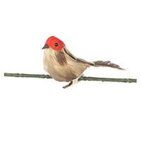 Picture of Artificial Clip-On Feathered Sparrow, Multicolur