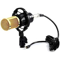 Picture of Professional Sound Recording Microphone with Shock Mount, BM800, Black