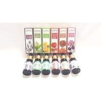 Picture of Multi Flavour Aroma Scented Humidifier Essential Oil, Pack of 6 Bottle