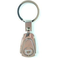 Picture of Stainless Steel Car Logo Keychain