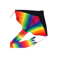 Picture of Rainbow Delta Kite for Kids, Multi Colour