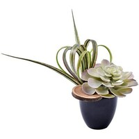 Picture of Artificial Succulent Plant with Moss Grass Wooden Slices in Pot