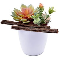 Picture of Artificial Succulent Plants with Moss Grass Wooden Slice with Pot