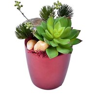 Picture of Artificial Succulents Plant with Moss Grass, Leaves in Ceramic Pot