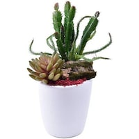 Picture of Artificial Succulents Plant with Grass, Wooden Slices in Ceramic Pot