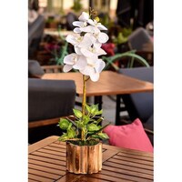 Picture of Artificial Silk Orchid Flowers with Wooden Pot, White