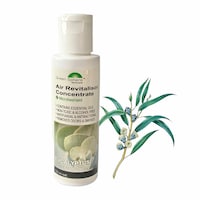 Picture of Green Sphere Natural Essential Oil, Eucalyptus Flavor, 120ml