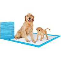 Picture of Honelevo Disposable Absorbent Leak-Proof Pee Pads for Pets, 50 pcs