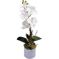 Picture of Yatai Artificial Orchid Flowers In Plastic Pot With Moss Grass