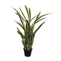 Picture of Artificial Tongue Plant for Home Decoration, Green, 1.6mtr
