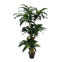 Picture of Artificial Brazil Plant for Home Decor, 1.5m - Green